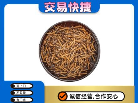 淮安涟水县回收散虫草